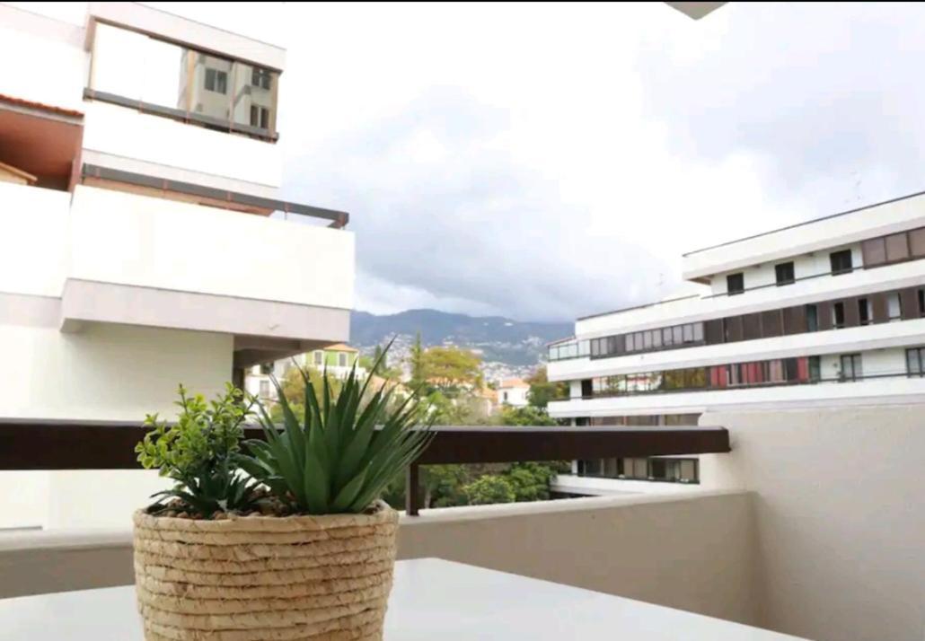 Vista Infante Apartments ฟุงชาล ภายนอก รูปภาพ